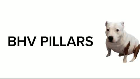 BHV PILLARS