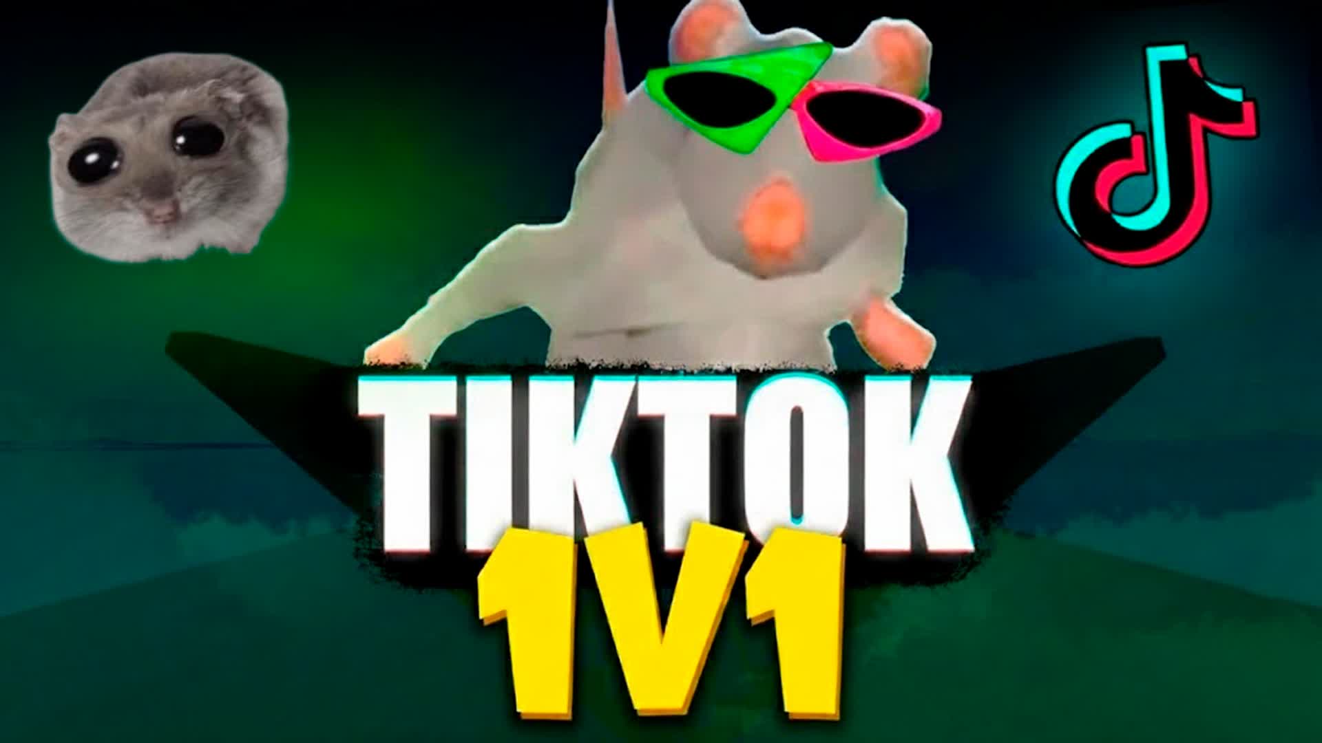 TIKTOK 1V1! 🐭