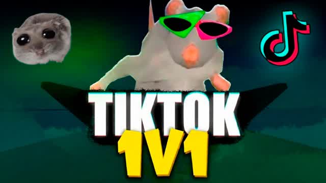 TIKTOK 1V1! 🐭