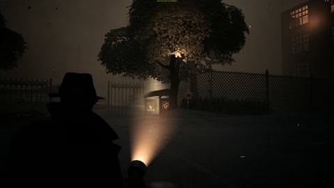 Island image