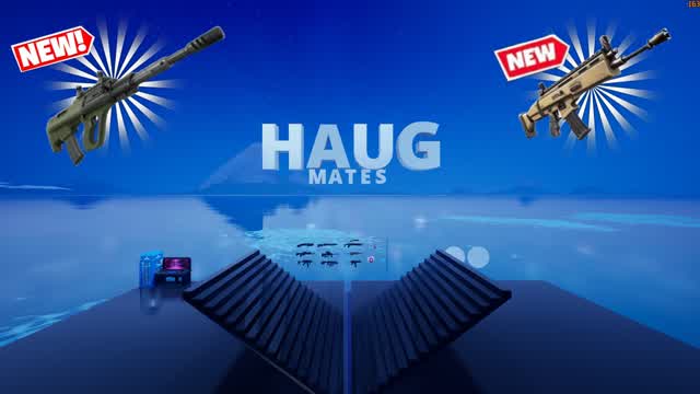 Haug-Mates 1V1