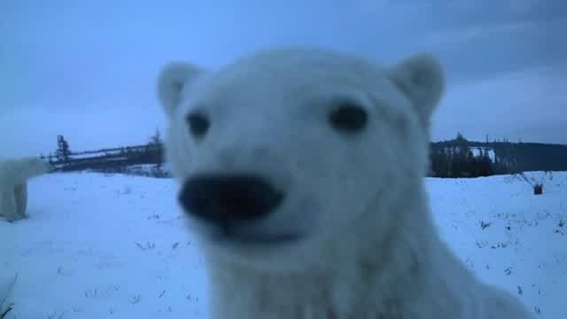 Capture 1 – EL CONSEJO MAP