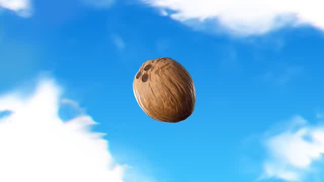 Capture 1 – Coconut Simulator🥥