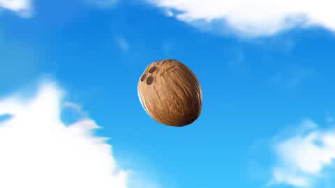 Coconut Simulator🥥