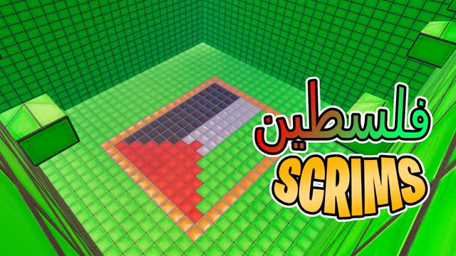 🇵🇸🏆فلسطين الحة Solo Skrims🏆🇵🇸