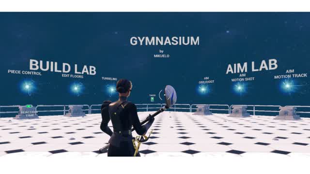 Capture 1 – Gymnasium