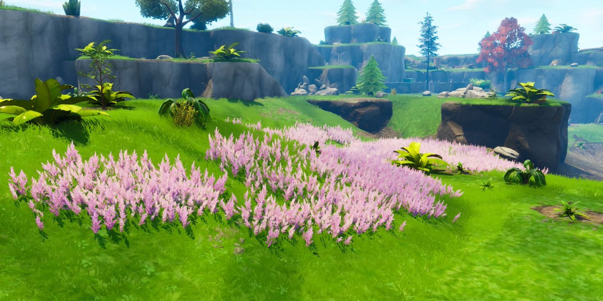 Map Image 2