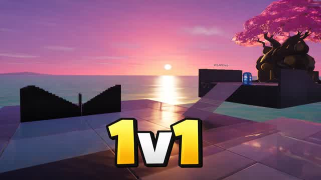 1V1 Arena