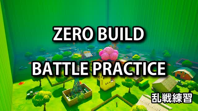 ZERO BUILD Battle Practice (2025.1.10)