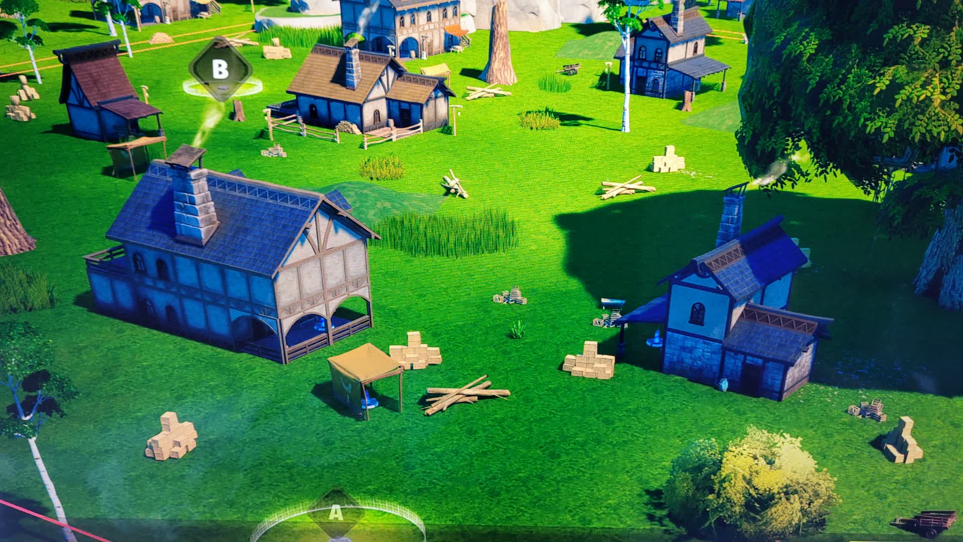 Village domination