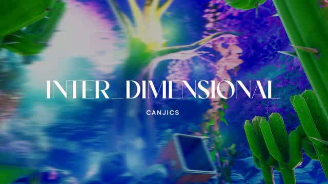 Capture 1 – INTER_DIMENSIONAL