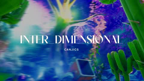 INTER_DIMENSIONAL