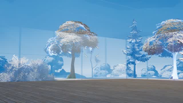 Winter Boxfights (Competive)