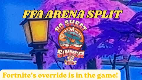 FFA ARENA SPLIT