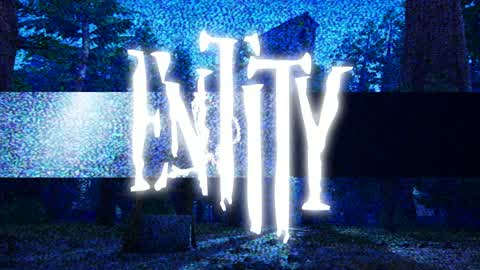 ENTITY