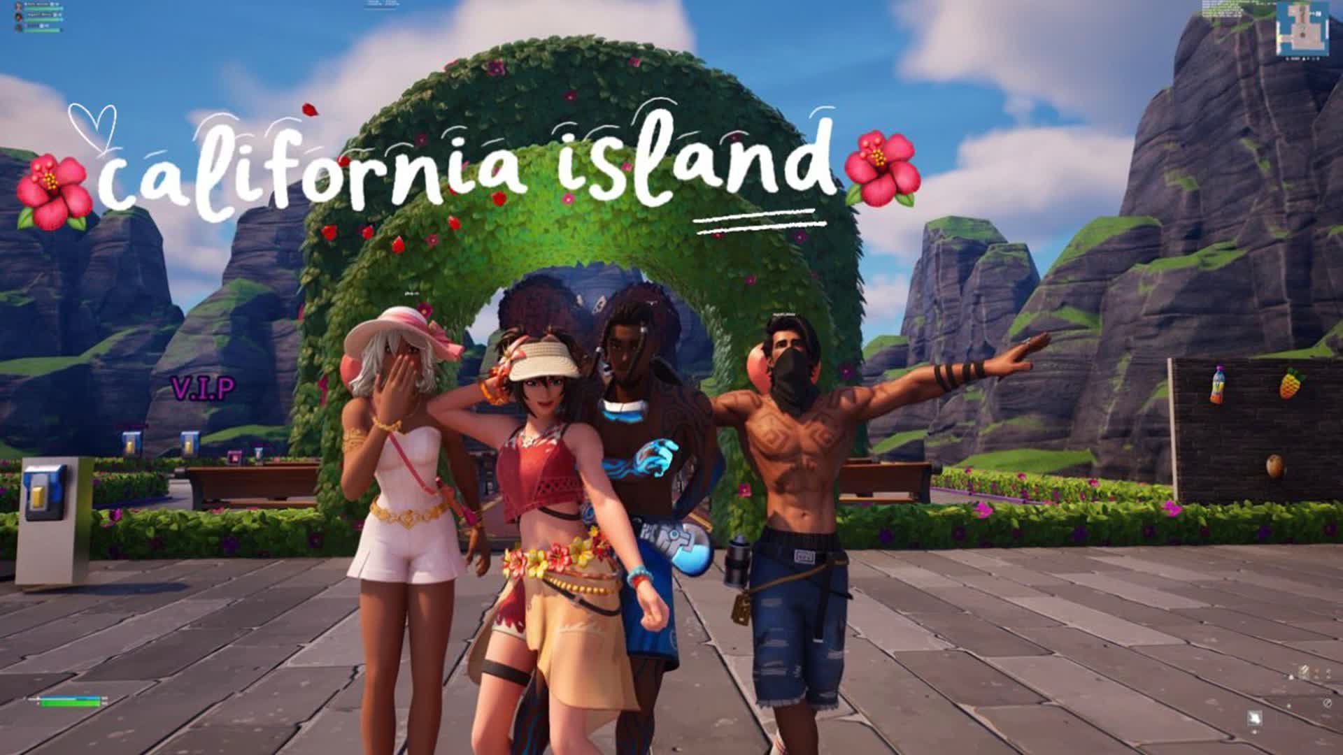 🌺california island🌺
