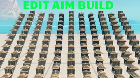 EDIT AIM BUILD 📝