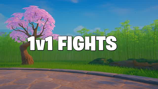 1v1 Fights - All Weapons