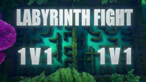 LABYRINTH FIGHT 1V1 1V1