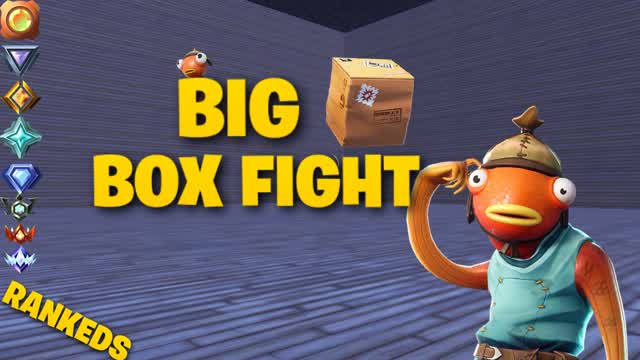 ⭐BIG box pvp ⭐RANKEDS⭐