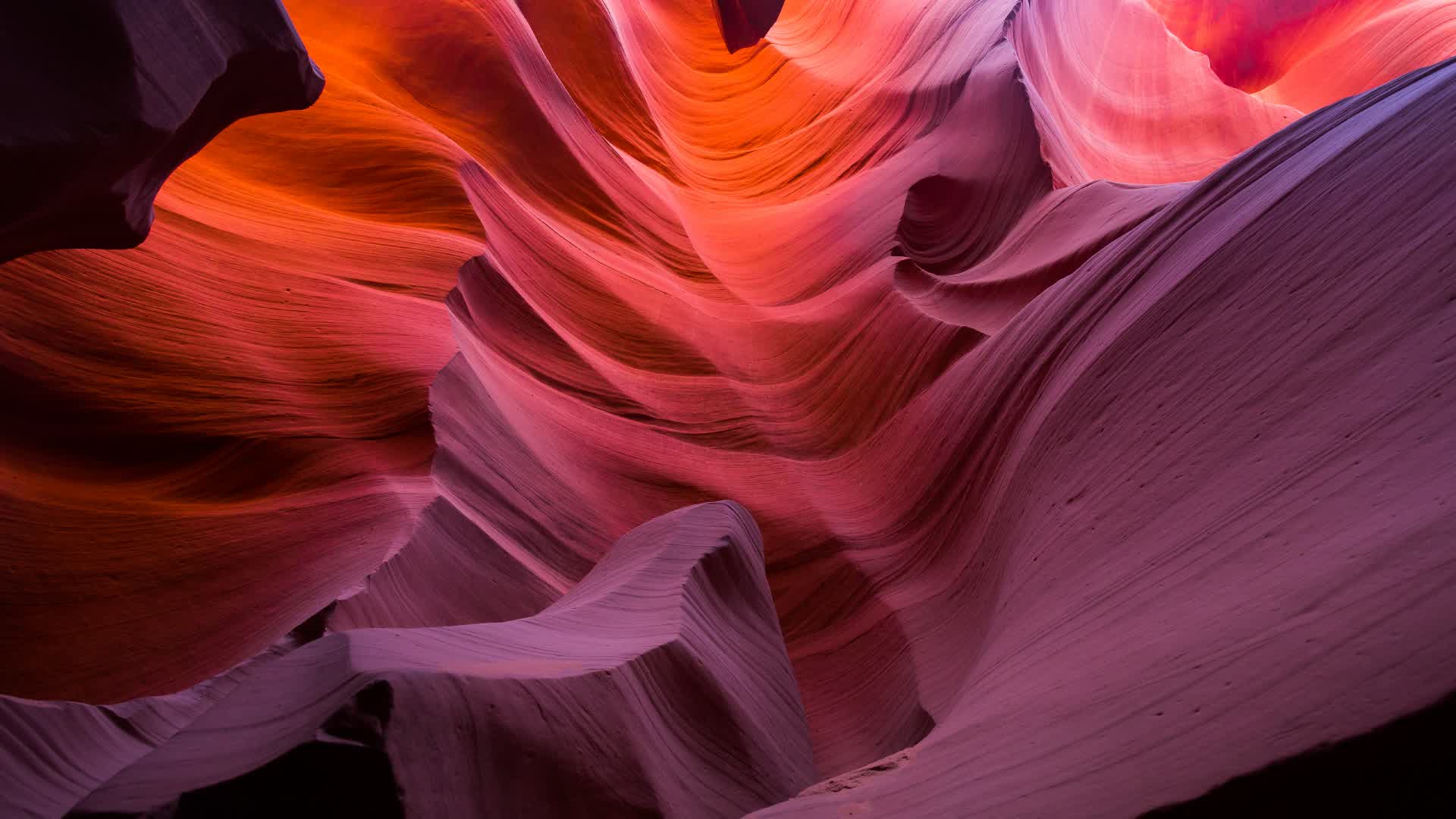 Canyon Zonewars