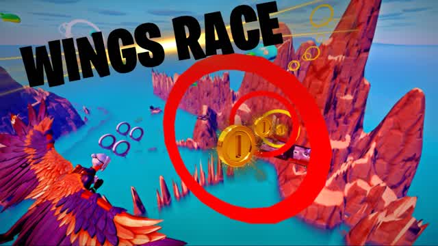 Capture 1 â WINGS RACE đŠ