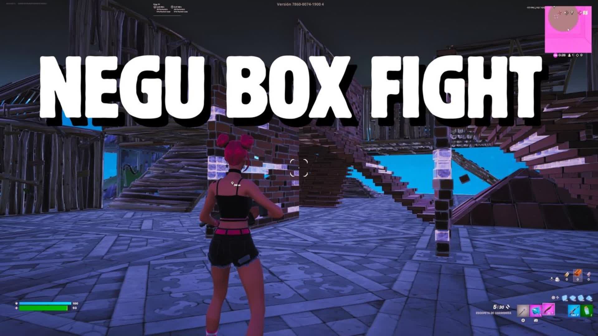 NEGU BOX FIGHT
