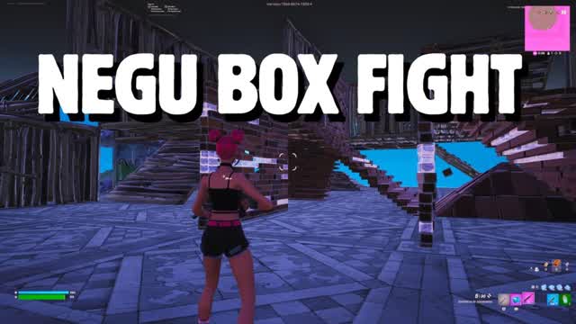 NEGU BOX FIGHT