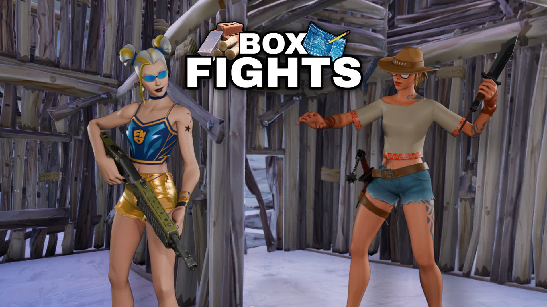 Pro Box Fights