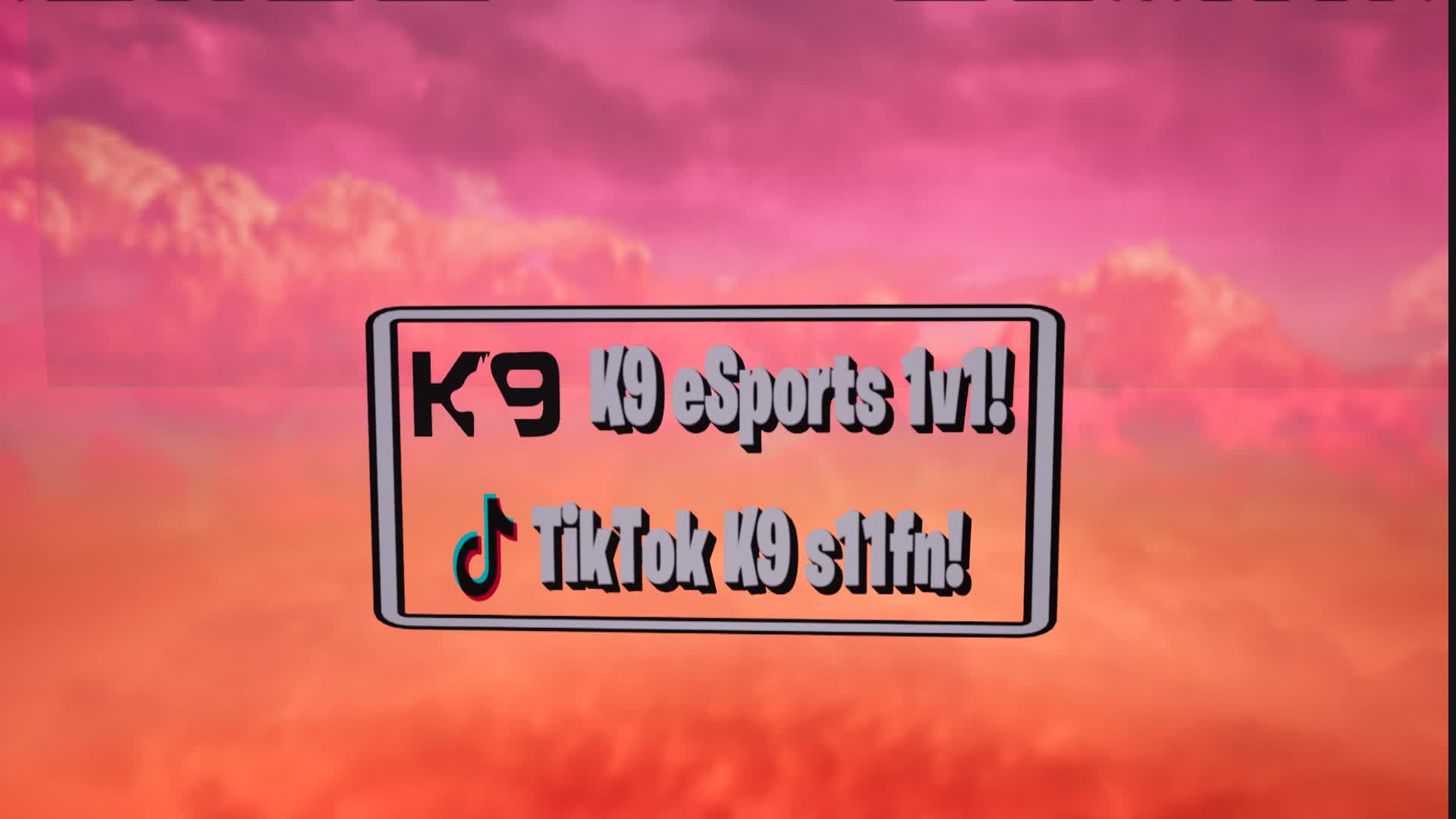K9 eSports 1v1
