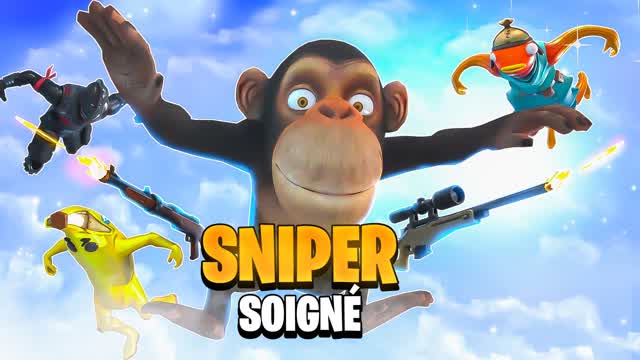Sniper SoignĂ© đŻ