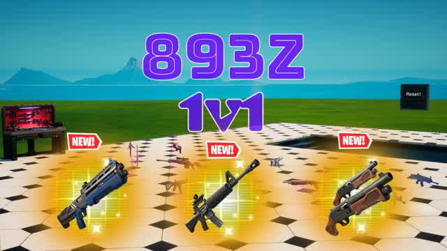 893z 1v1