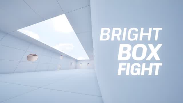 Bright Box Fight