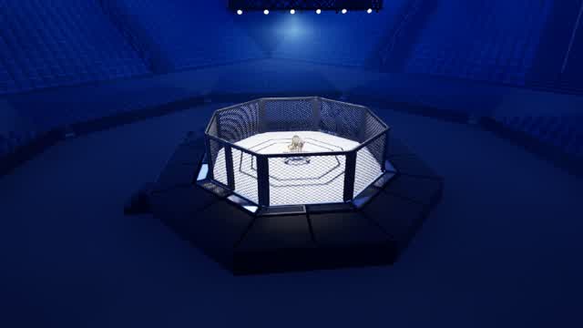 Capture 1 – Octagon Arena