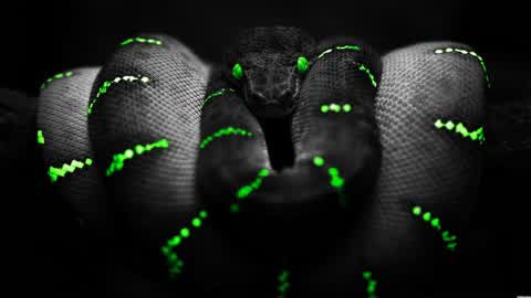 SNAKE DEVOURER