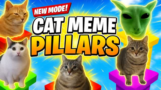 CAT MEME PILLARS! 😸