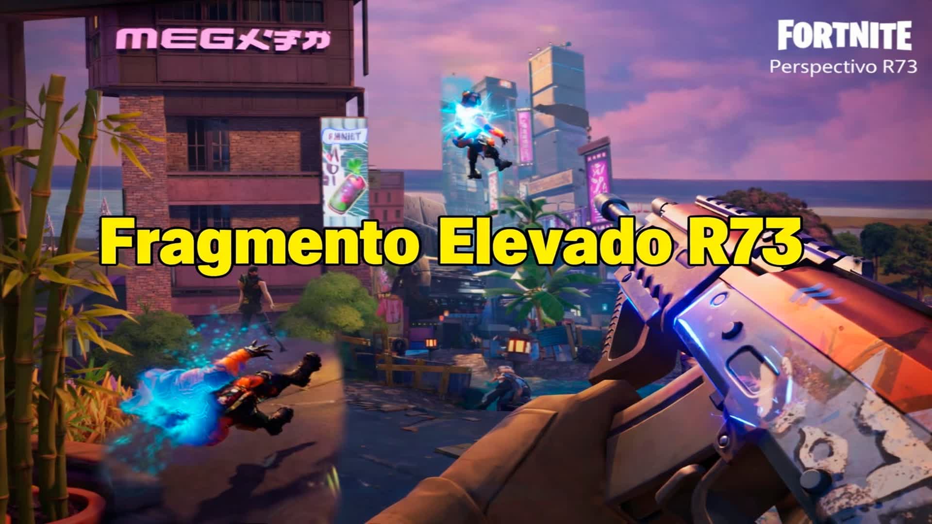 R73 エレベーテッドフラグメント