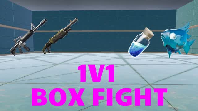 1v1 BoxFights