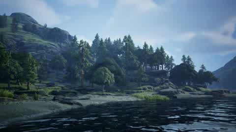Beach Environment