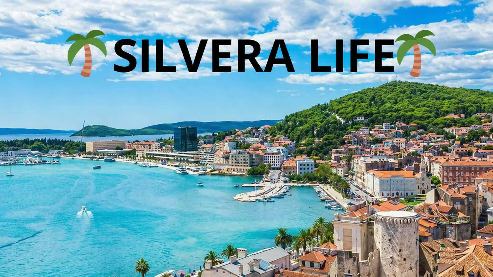 ° Silvera Life RP °