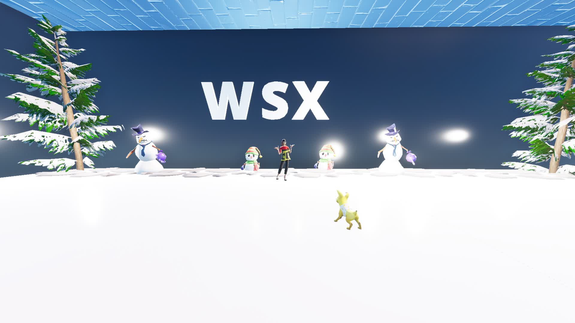 WSX Zone Wars