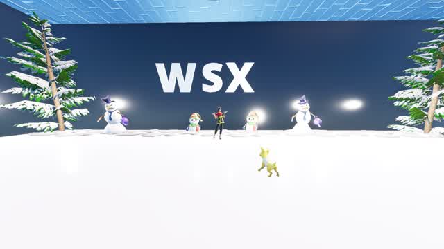 WSX Zone Wars