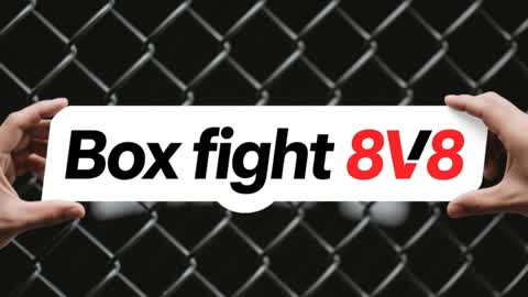 Box fight 8V8