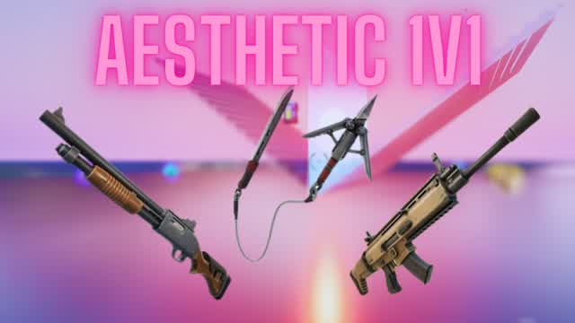 AESTHETIC 1V1