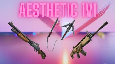 AESTHETIC 1V1