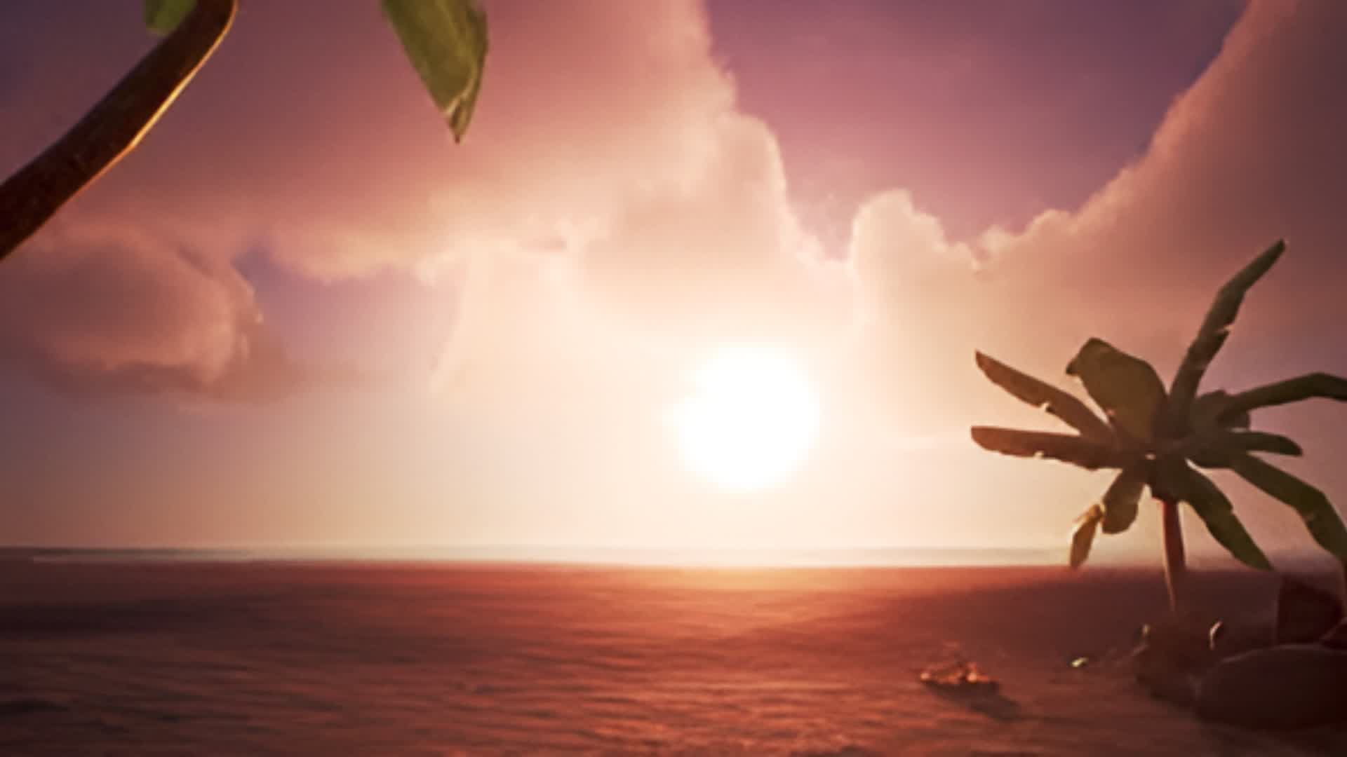 PVP PLAYA