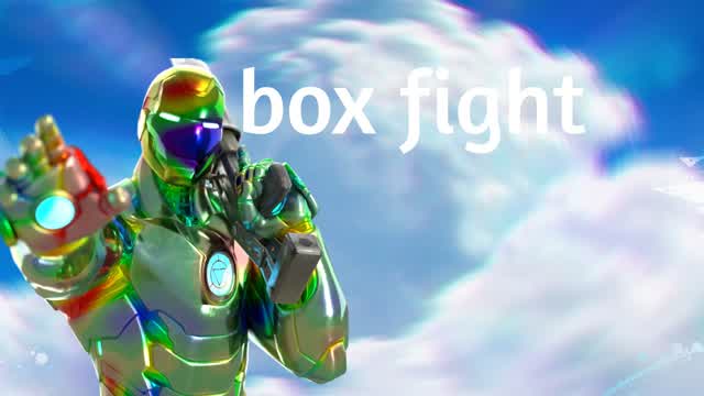 Box fight