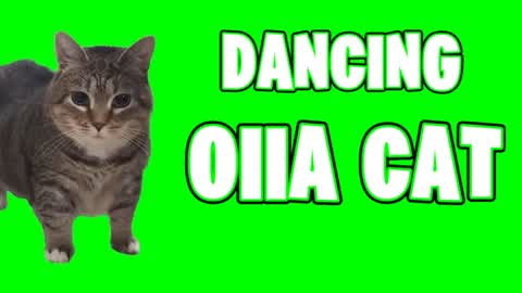 Dancing OIIA Cat