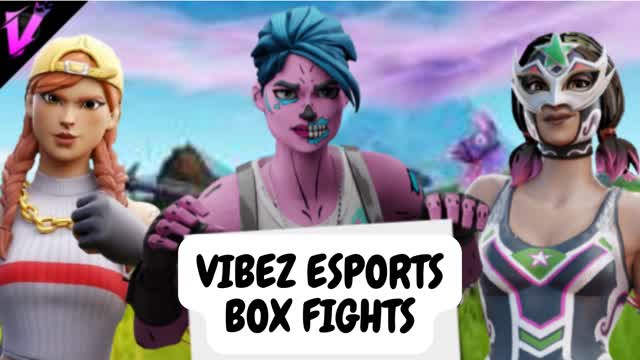 Capture 1 – VIBEZ boxfights