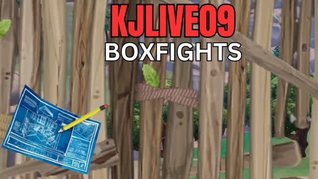 Capture 1 – KJLIVE09 BOXFIGHTS!